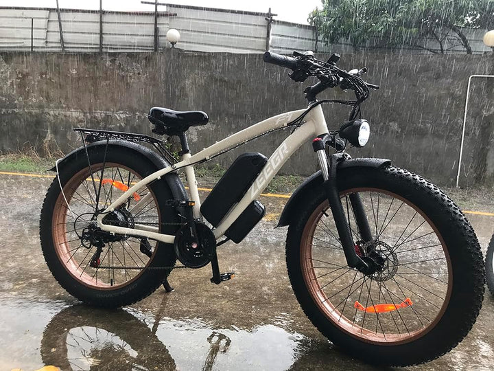 21 speed Evicbike Zeegr F12 Electric Bike Wholesale 26" 1000W 48V 16AH Fat Tire OEM ODM - Evicbike