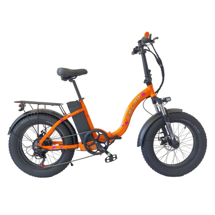 Evicbike E7 Foldable electric bike wholesale custom ebike - Evicbike