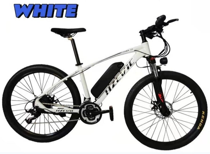 Evicbike EBM11 Mountain bike electric wholesale supply OEM ODM - Evicbike