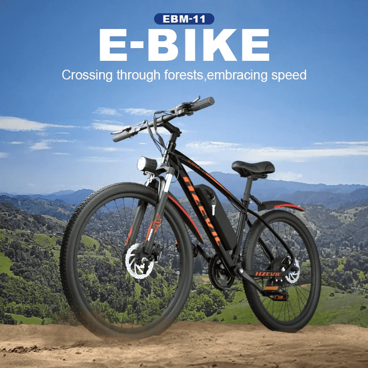 Evicbike EBM11 Mountain bike electric wholesale supply OEM ODM - Evicbike