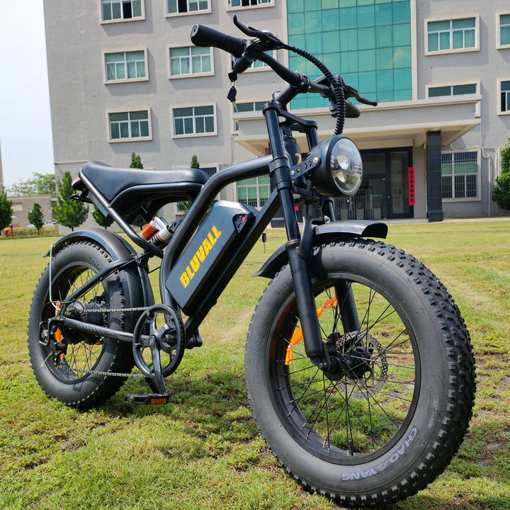 Evicbike K6 Electric adventure bike wholesale,ebike DTC OEM ODM Fat tire 20"4" - Evicbike