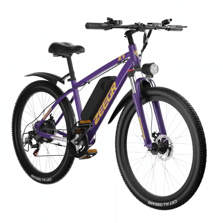 EvicBIke Z1 Mountain bike electric bike Factory Wholesale OEM ODM Ebike Supplier - Evicbike